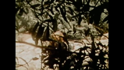 Vintage Usa: Yaşlı liseli azgın çift çıldırıyor