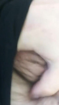 Morning cock.
