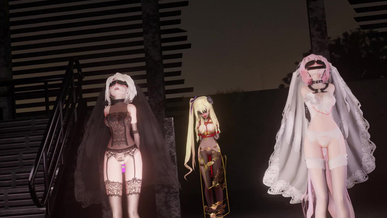 MikuMotion: Páry; Erotická svatební fotografie; Školení