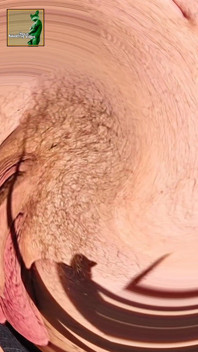 Here Is My Penis and Balls Part Two
