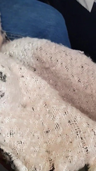 Jet Umum! Mengisap Penis Dan Masturbasi