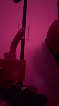 CD Mahsa - Joacă pe vibrator