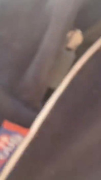 Les na veřejnosti indický chlapec a honění