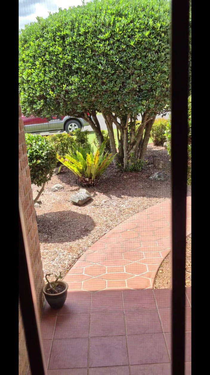 yogiyumyum: Esto divertido de mear