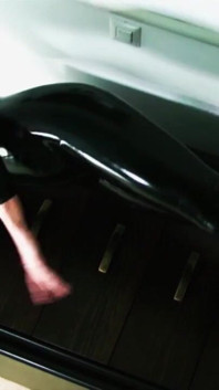 Latex Domina