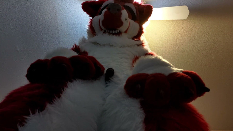 PawgrammerSocks: Furry in Full-body Fursuit Pisses on You, Then Cums Over...