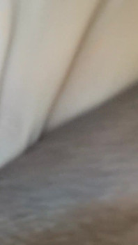 젖은 보지
