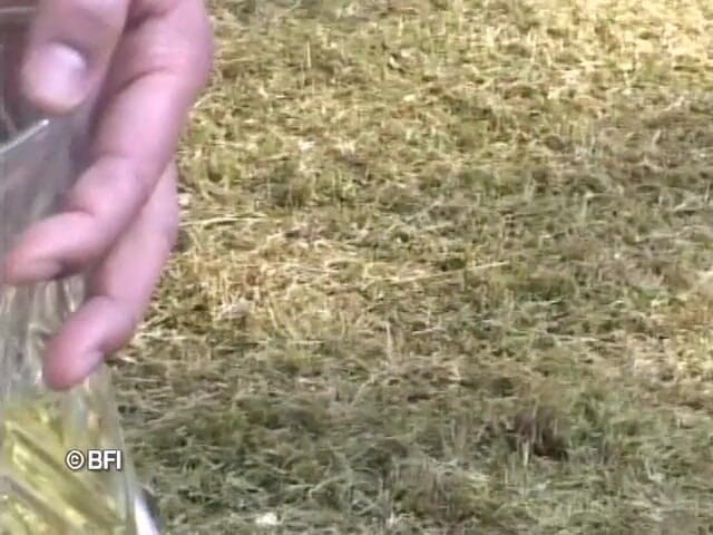 Pissing Girls: Các tập tin kỳ lạ 119