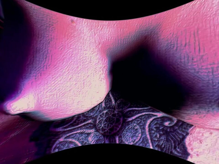 Futanari VR: Funy Editions 8
