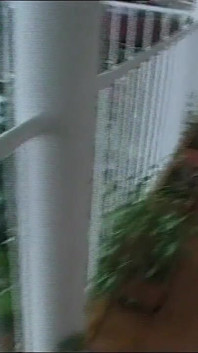 Three Bisex Sluts Fuck Each Other with Strapon Then Ass Fucked and Cummed on by Rocco Siffredi
