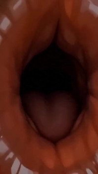 Big Ass Shemale Fuck