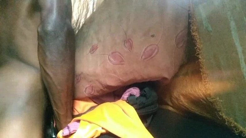 Bangcum8: Kluk šuká zdarma kundičku a sperma velmi dobré