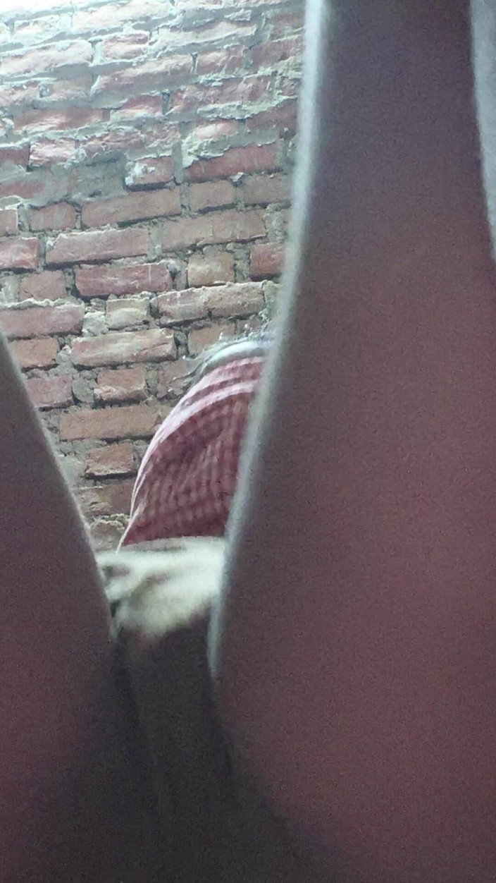 Moma: सेक्सी वीडियो