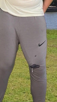Grosse bite monstrueuse dans un pantalon de survêtement gris, éjaculation