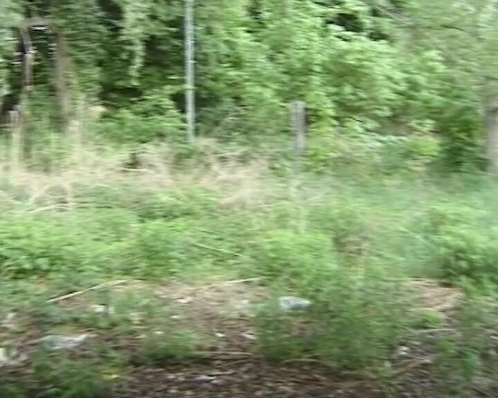 BB Video - Vintage Story: Duitse amateur tiener buitenshuis babe blondine anaal geneukt #1