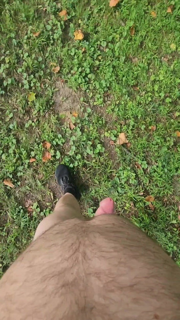 Djk31314: Procházka a honění