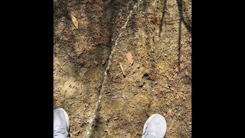 The newhere: Piss Outdoors Y Más Compilación