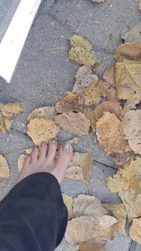 Des Feuilles Sèches Se Craquent Avec Des Pieds Nus Sexy