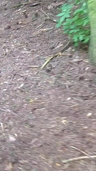 Cadela esposa Portia Wells fica coberta de porra de chupar tesão mais velhos doggers na floresta