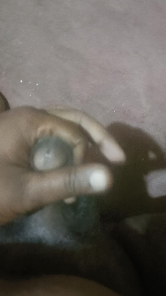 LegalVector8: Scopami la mano alla pecorina