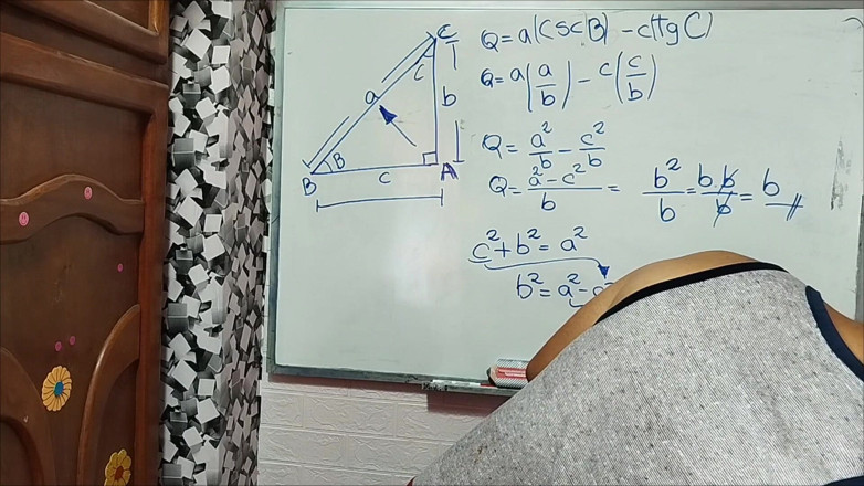 Rosaroja: Trigonometry: Trigonometric Ratios - Exercise 1