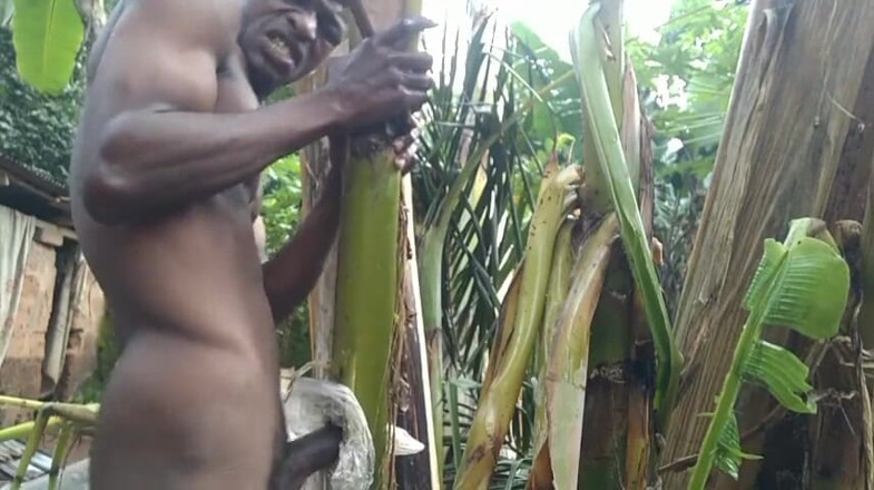 Bangcum8: aadmi jangal men akela hai aur paudhe ke per ko...