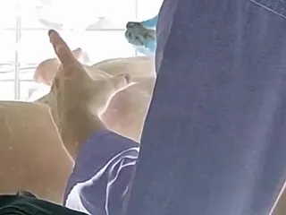 WaxingCam: Male Waxing Dick Prev 4243