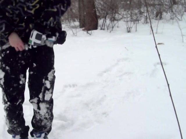 Outdoor Joy in the Snowbound Forest (Sneakersmax98)