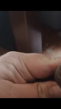 New Panties? and a Cumshot?!