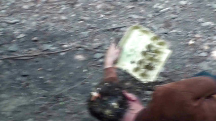 Femdom Austria: Humilier cet esclave dans la nature