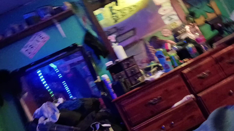 Penelope Pousse: Yakın çekim domaltmalı