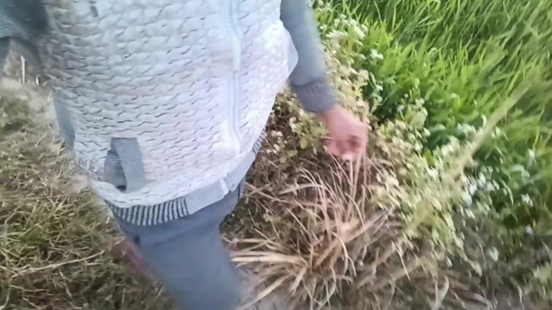 HotboyIndian: Üniversite arkadaşlarım