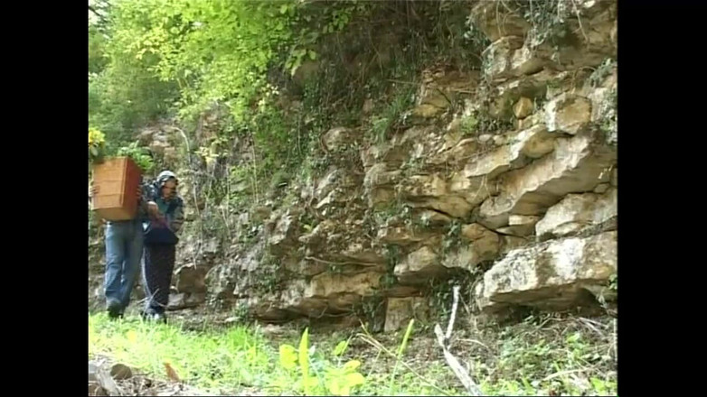 Xtime Network: 큰 자지로 늙은 돼지에게 따먹히는 거유 밀프와 거유 십대 (풀영상)