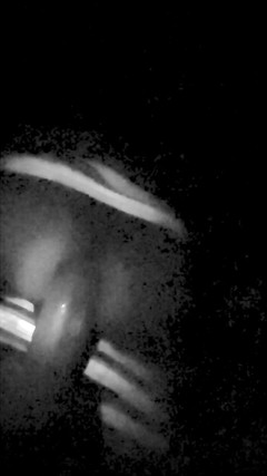 ChiefIntent7: Něco ti ukazujem