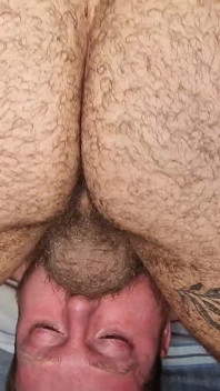 Mengisap kontol beruang