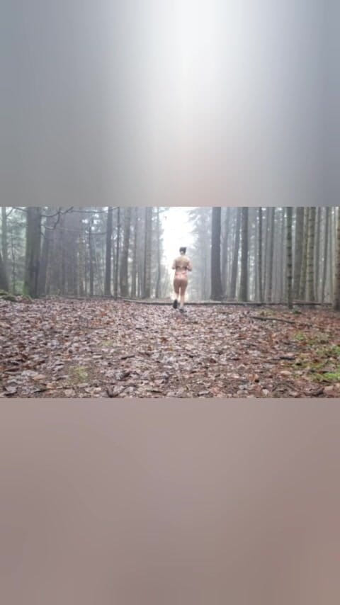 Swissapple: Hledat Santa Claus