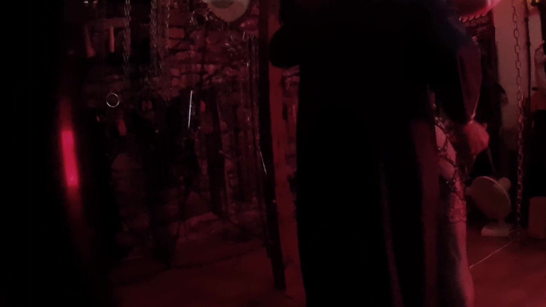 Aaexperinces trans: Teil 1 Allegros erste Erfahrung mit Lanista Bear