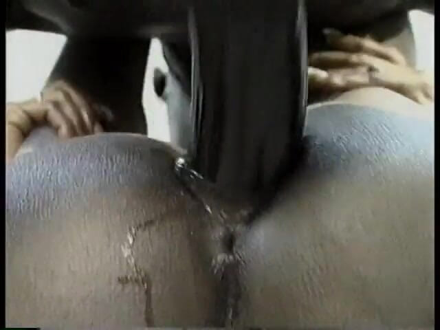 Hot and Wet: Horny stud joins slut and gets his big cock sucked