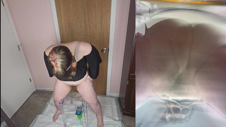 Mushroombitchx: Las crónicas de la silla clara: edición payaso