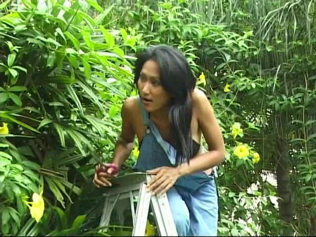 Asian Cuntz: Asian hotties posing compilation 3