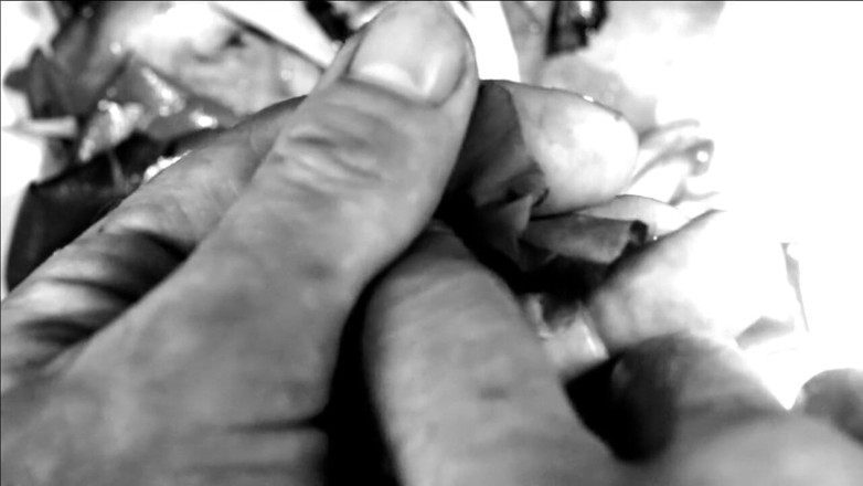 Kane Santiago: Hand fetisch - meine hände zerstören blumen und früchte