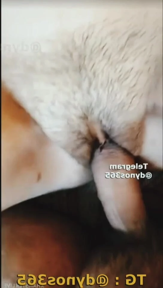 desi hot girl: Video seks pasangan desi India