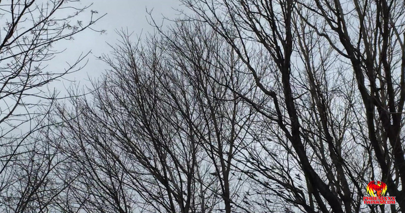 Phoenixxx: Un garçon à Montréal : Skyler se tape Hunter