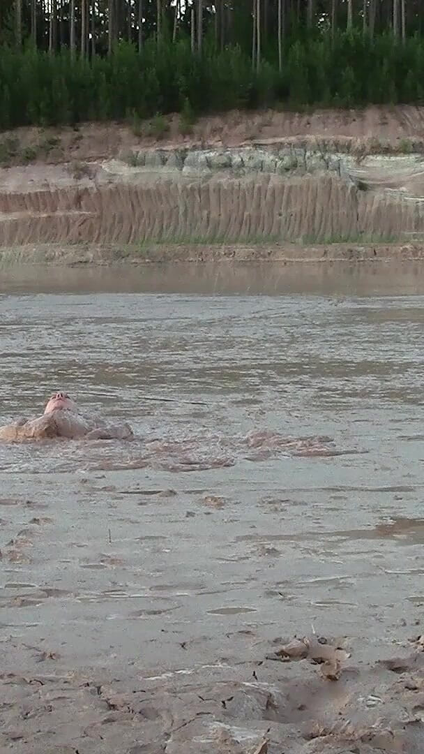 Exploring the Deep and Creamy Mud Pond (Muddy chubby)