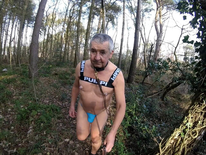 Andy: ウォーク8 2025