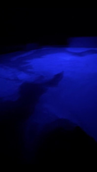 Enjoying the Hot Tub!