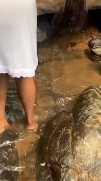 Un tânăr sosește în timp ce o femeie zveltă din Sri Lanka cu sâni mari naturali face baie și o fute chiar acolo în apă