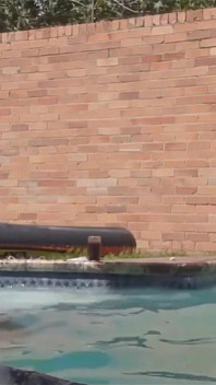Swimming Pool Fuck