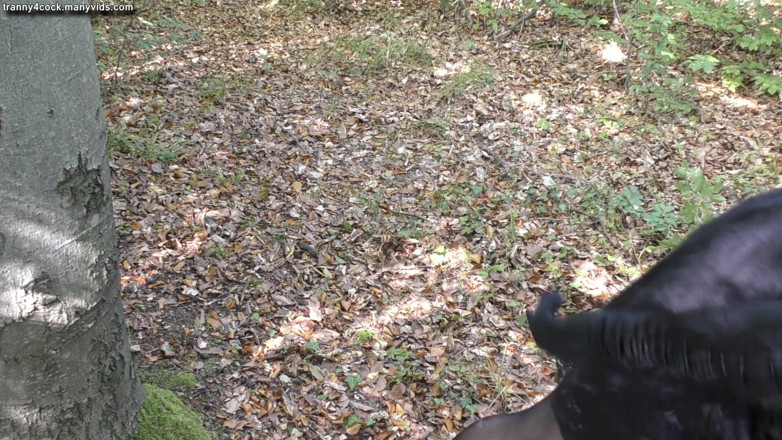 Tranny 4 cock: TV Susan exposed in the woods
