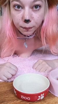 애완동물 소녀가 그릇에서 물을 마시고 있습니다